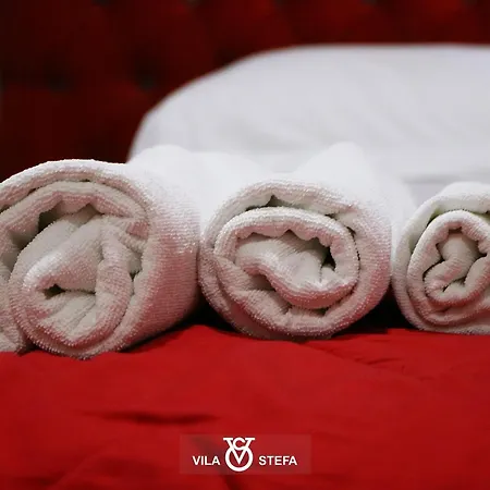فندق Stefa *